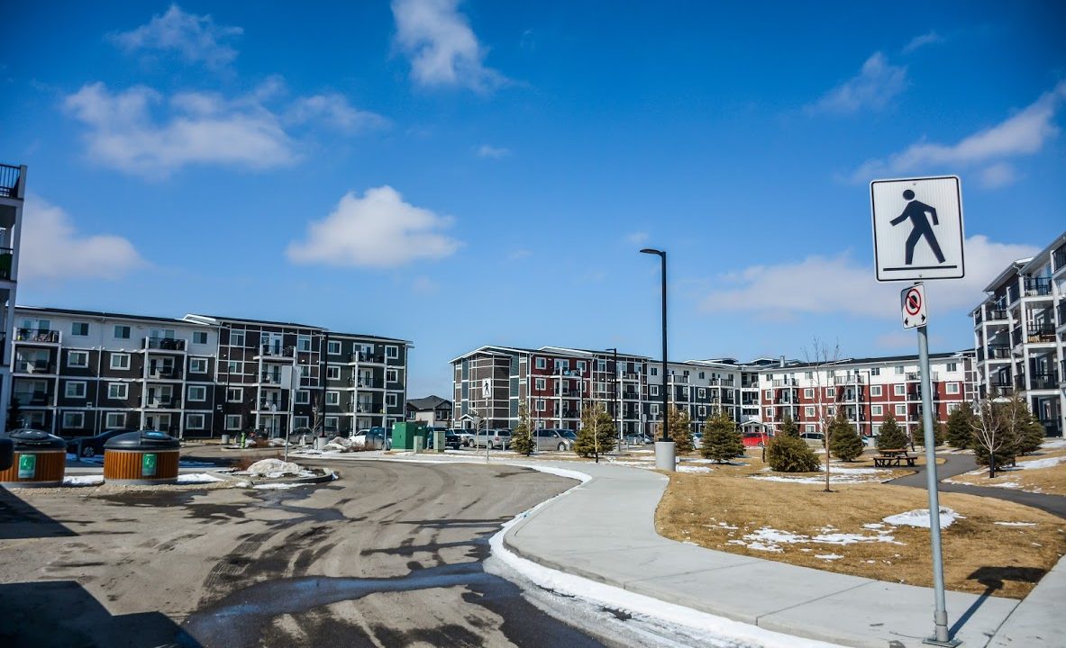Vista project